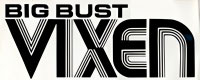 Big Bust Vixens Magazines