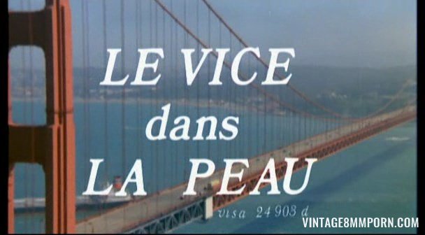 Le vice dans la peau (1976)