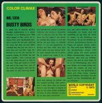 Color Climax Film 1316 – Busty Birds