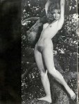 Exotic Nudes (1974) by Andre DeDiennes