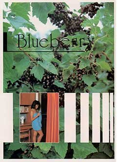 Blueberry (Japan)