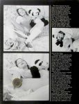 Play With Me Volume One Number One (1980) preview