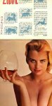 Cocktail 1960 Calendar preview