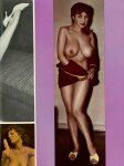 Tonight Volume 3 No 3 preview