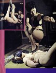 Cherry Blossoms No 6 (1973) preview