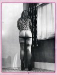 Janus Volume 3 No 11 preview