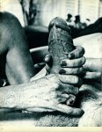 Private Dick (1980) preview