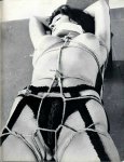 Rope Discipline Number 1 (1985) preview
