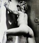 Young Pantied Bottoms Number 5 (1984) preview