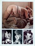300 Asses & Snatches Volume 2 Number 4 (1977) preview
