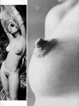 Golden Nudes Volume 1 No 3 (1969) preview
