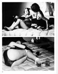 Beauties in Lingerie Bondage 3 (1981) preview