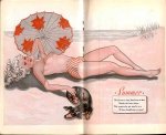 Jane's Journal by Pett (1947) preview