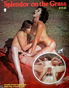 Splendor On The Grass (1970s)