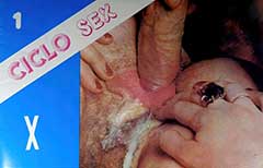 Ciclo Sex 1