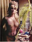 Fling Festival - Special Winter (1968) preview