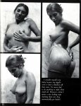 Nipples Big & Hard Volume 1 Number 1 (1985) preview