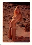 Soft International Nr.1 preview