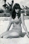 Spick No. 169 (1967) preview