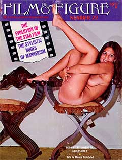 Film & Figure Number 22 (1971)