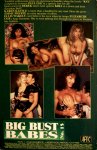 Big Bust Babes 15 (1993) preview