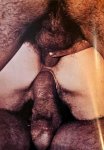SEXUS-2 (1970s) (Denmark) preview