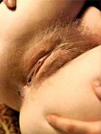Pussy & Ass Number 2 (1975) preview 1