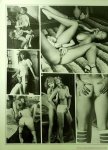Lesbian Seduction Volume 1 Number 4 preview 4