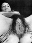 Close-up of hairy pussy, with hands spreading her legs