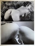 Asses Up Volume 2 Number 3 preview 4