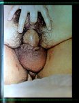 Handbook of Anal Sex (1970s) preview 3